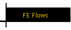 FE Flows