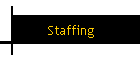 Staffing